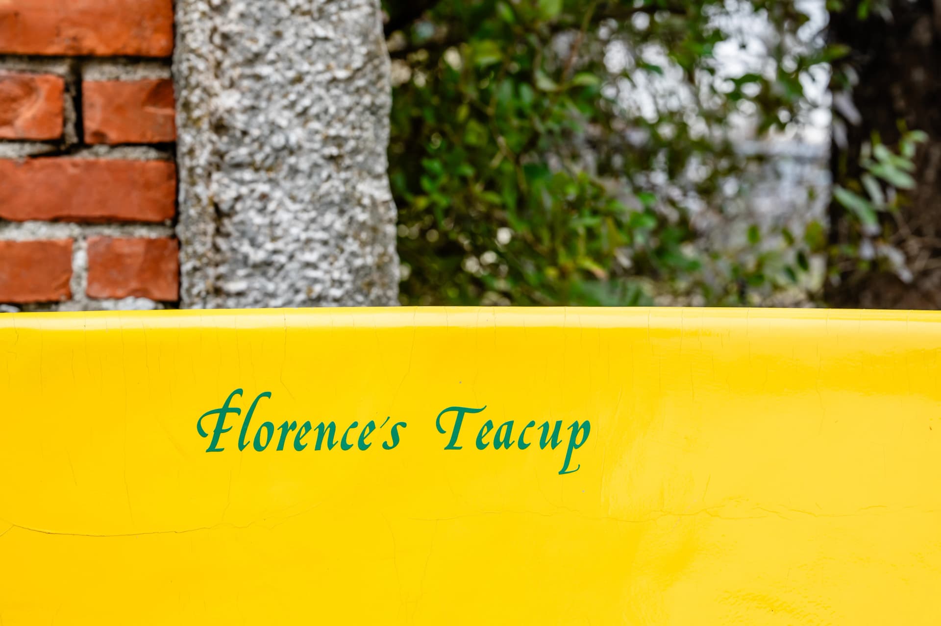 Image by Jennifer Lynne Photography