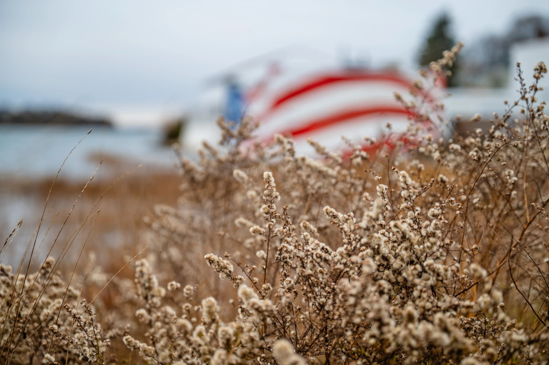 Image by Jennifer Lynne Photography