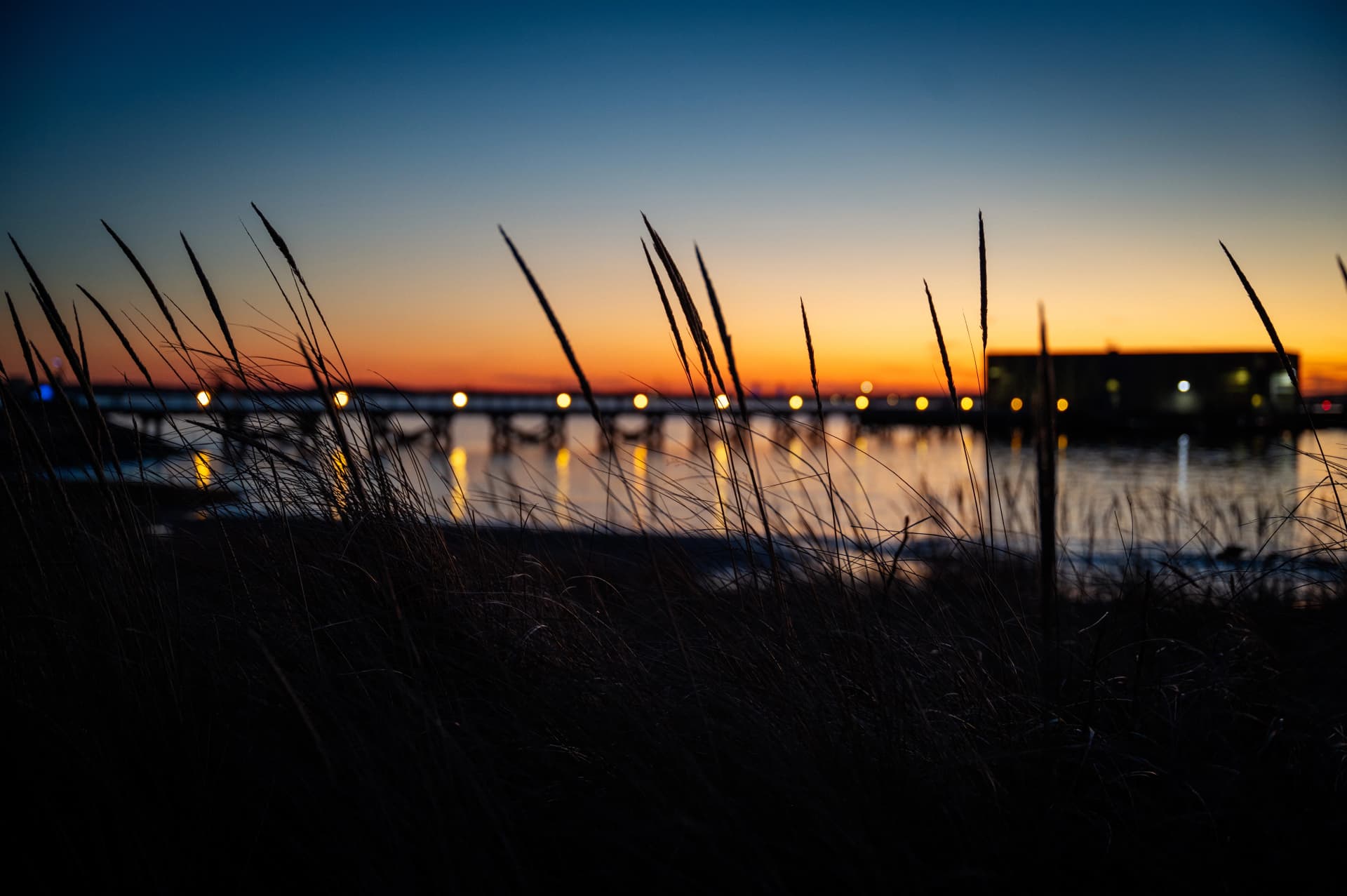 Image by Jennifer Lynne Photography