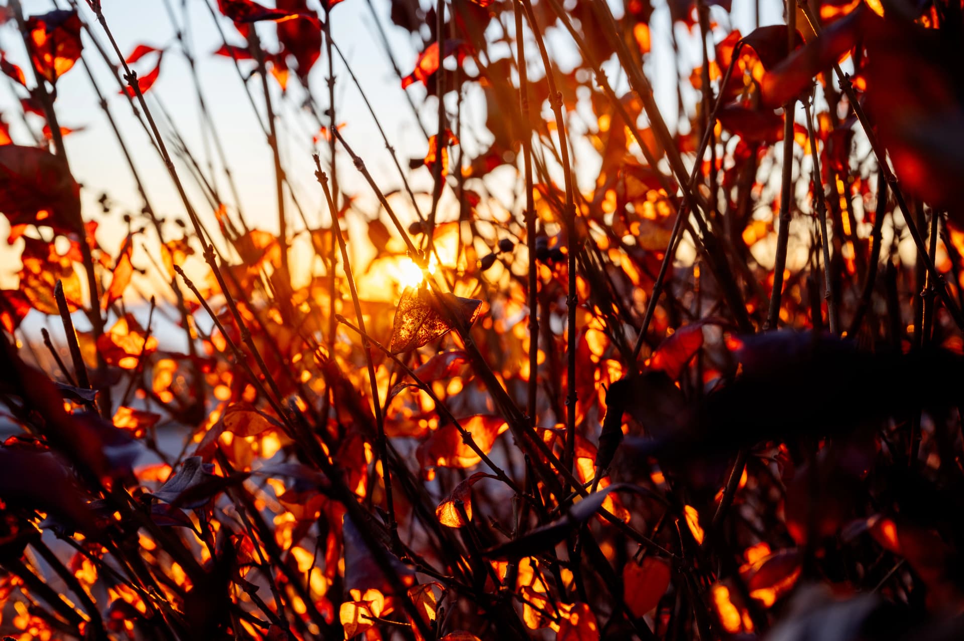 Image by Jennifer Lynne Photography