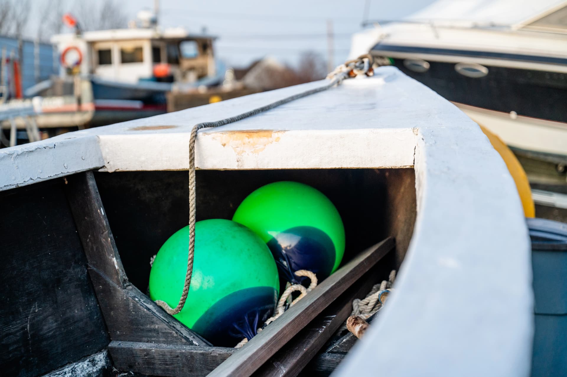 Image by Jennifer Lynne Photography