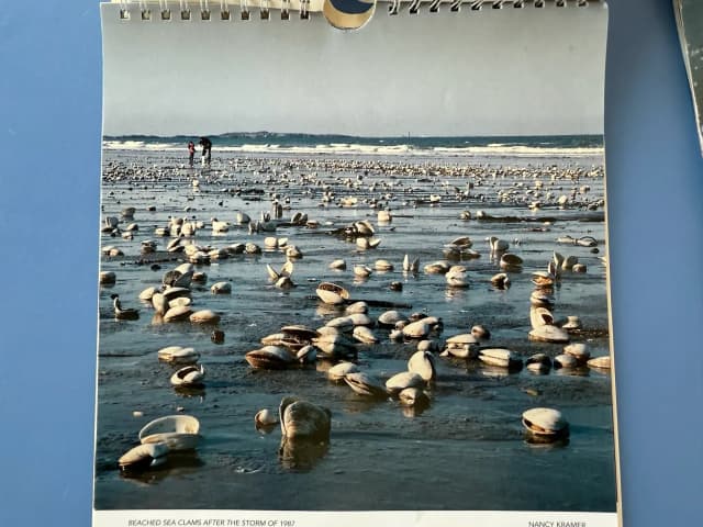 Hull Calendar Contest Entry 2