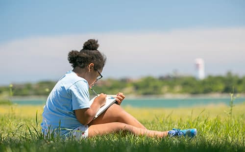 Art in the Park | Spectacle Island
