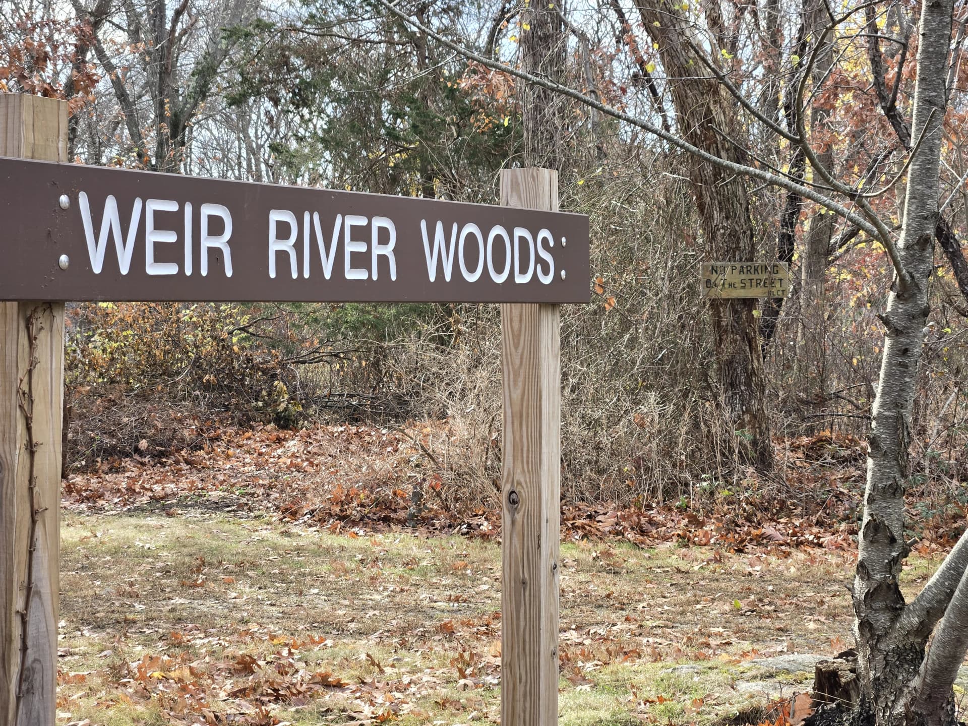 Weir River Woods