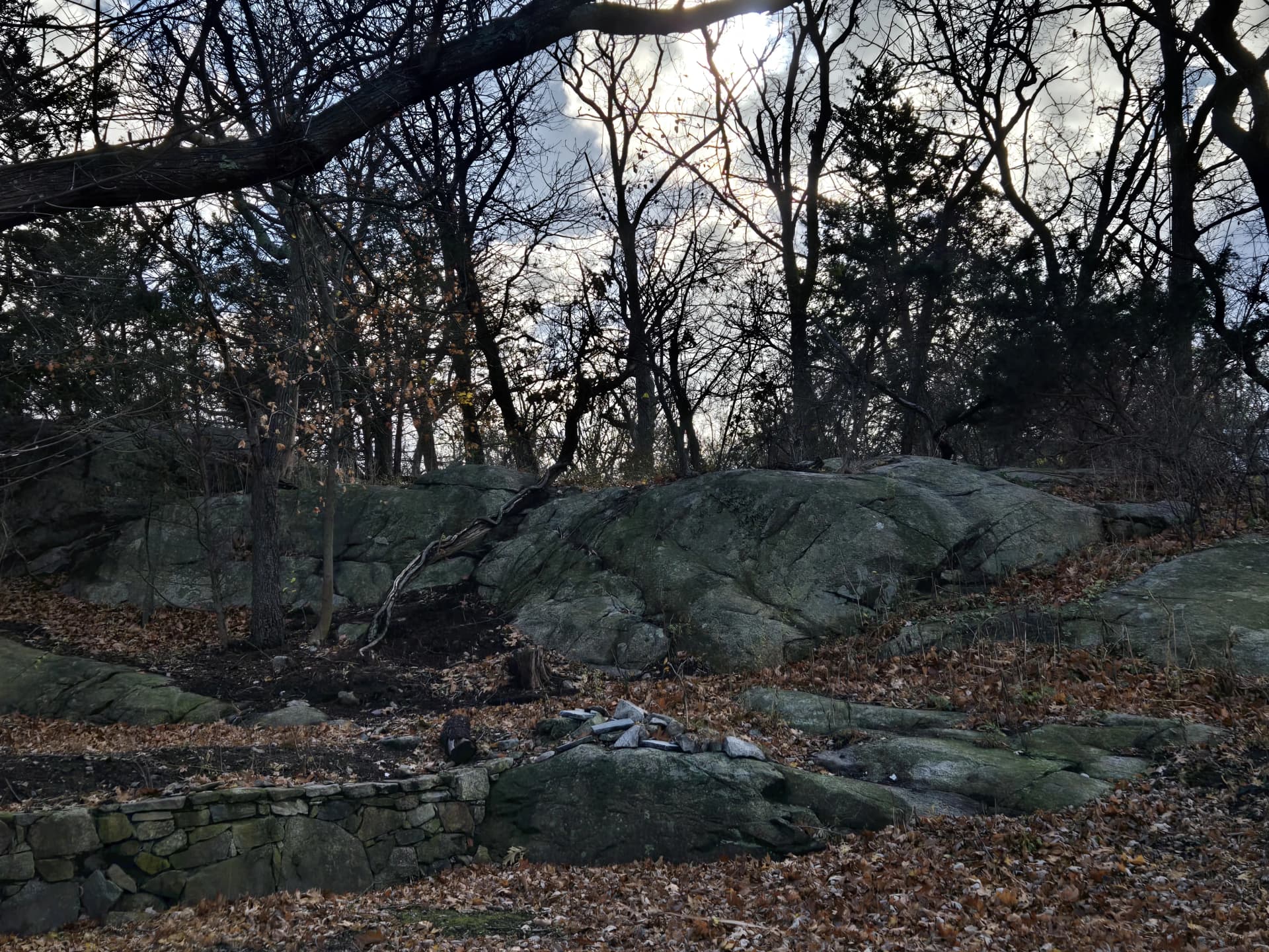 Nature and Modern Living