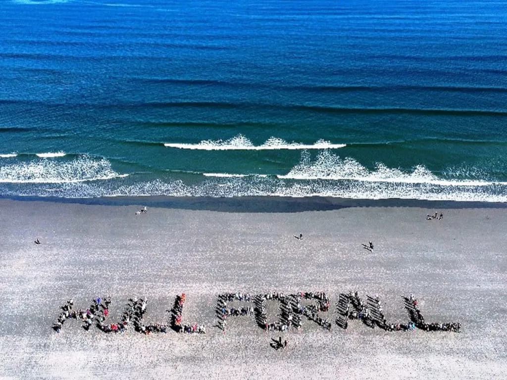 Living in Hull
