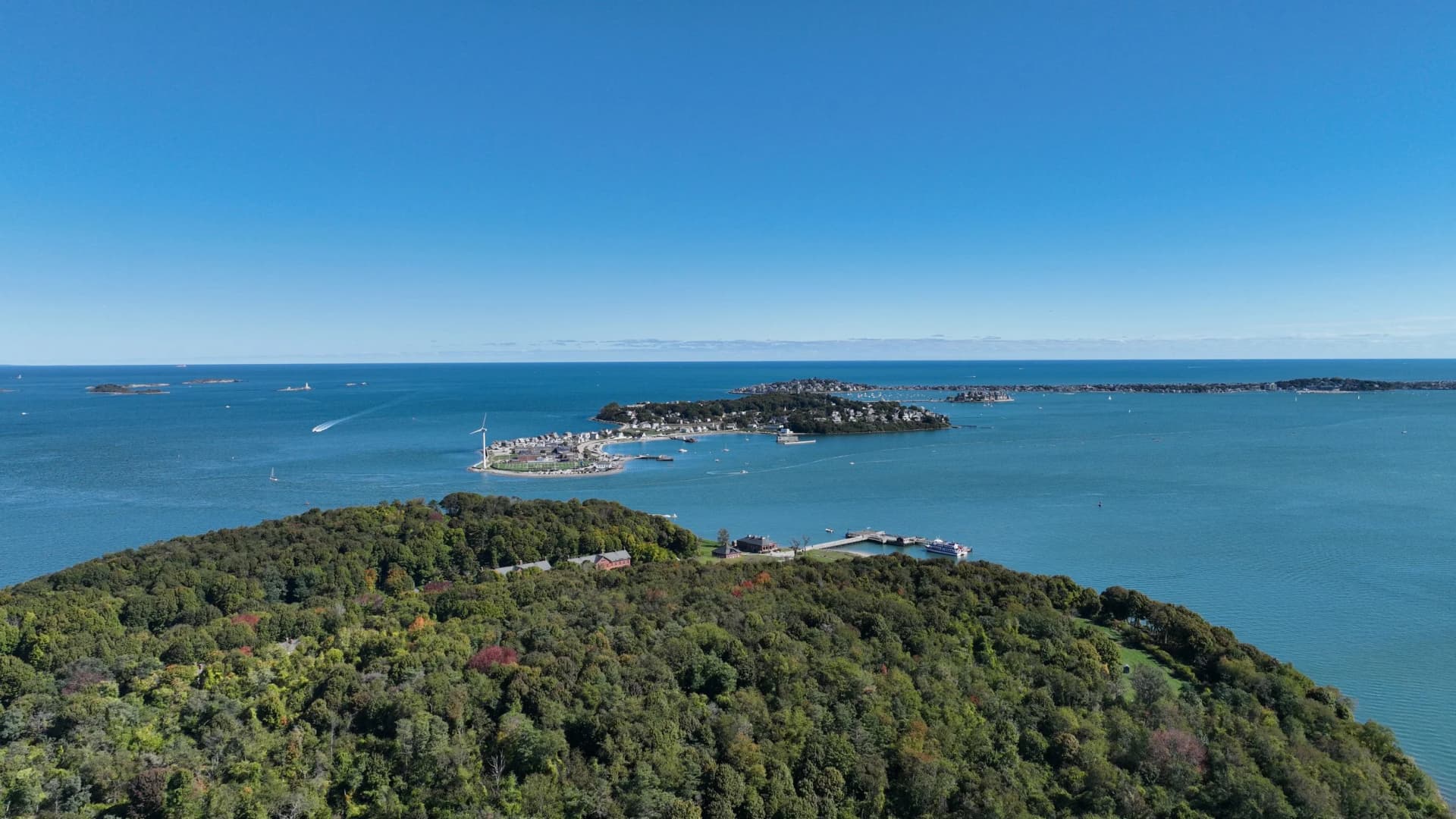 Image by Sean Baggett