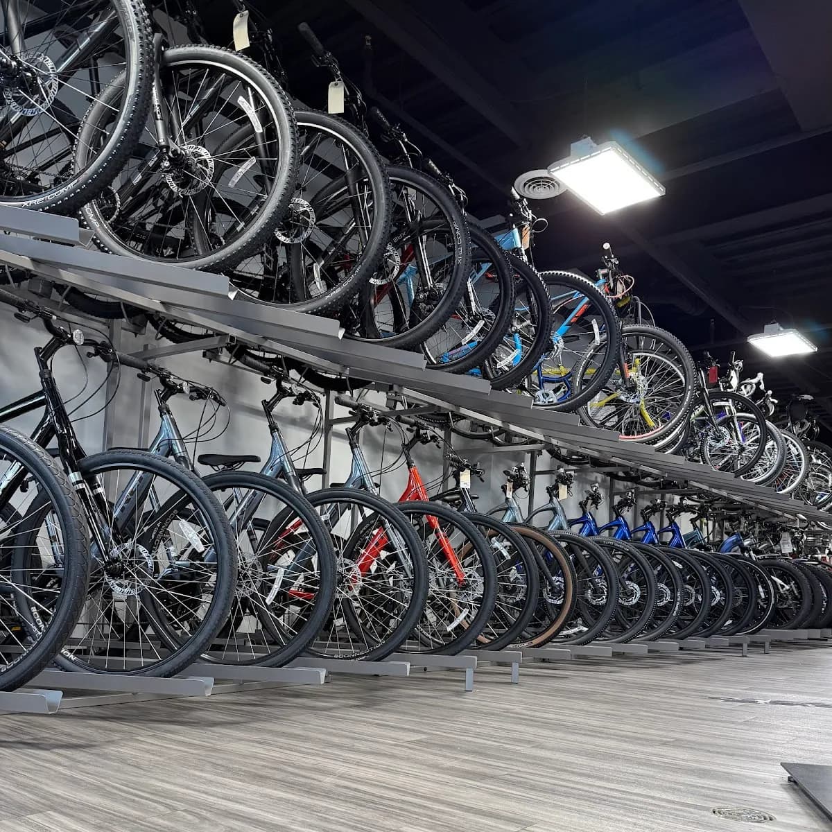 Atlantic Cycles