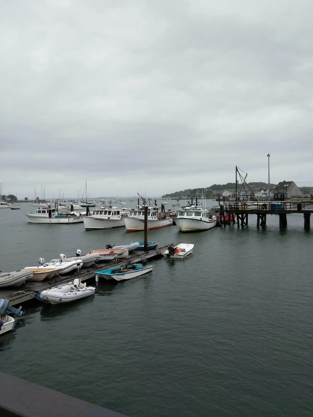 Salt Water Club