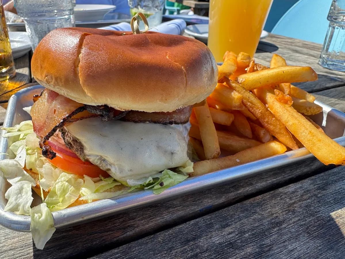 The Parrot