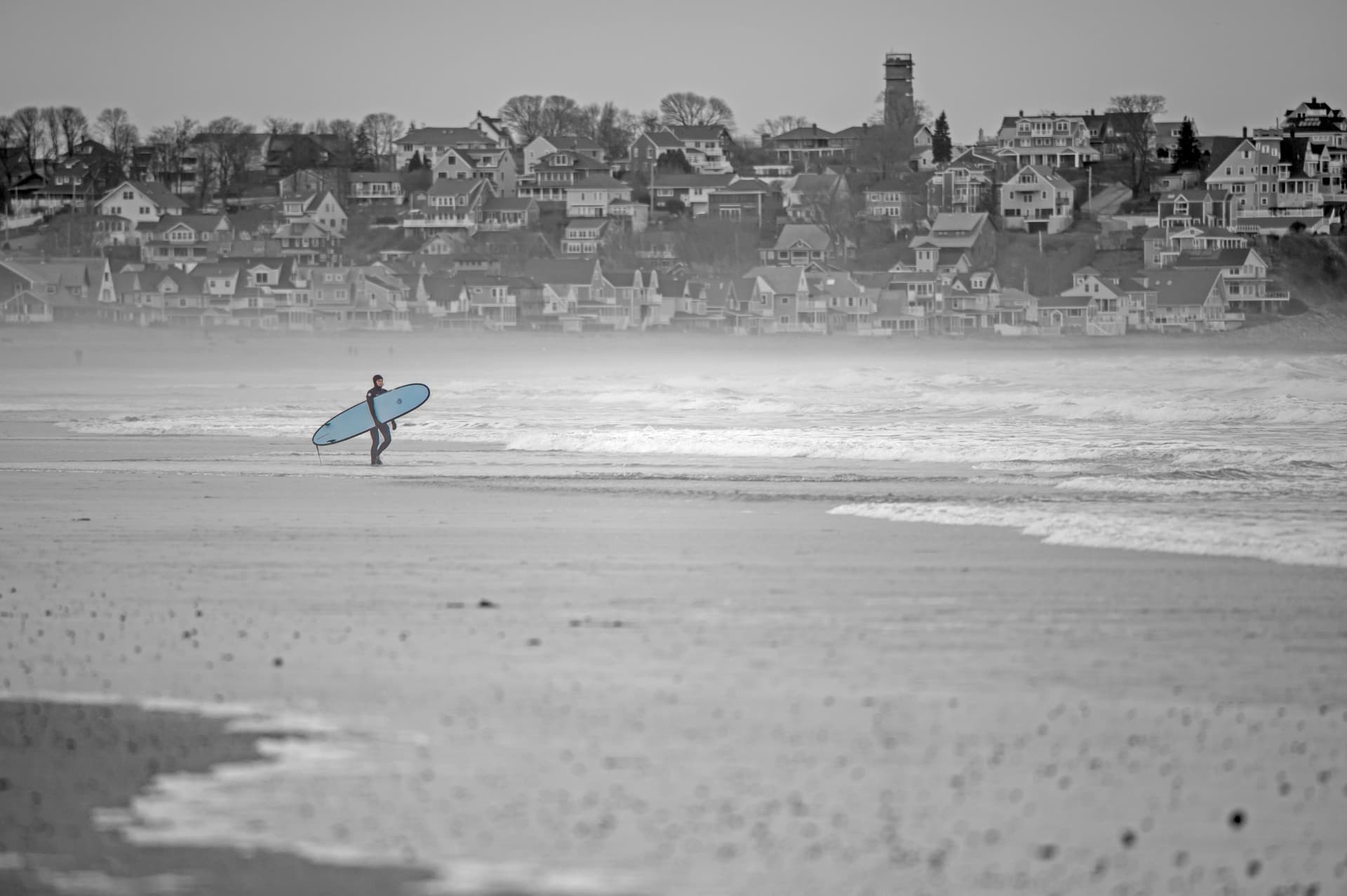 A lone surfer walking out at Nantasket with the hillside houses of Hull behind
