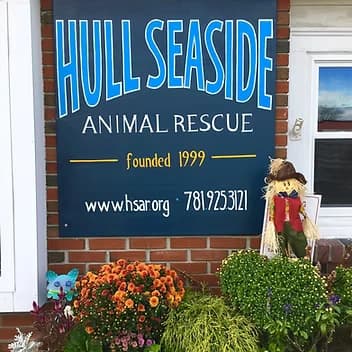Hull Seaside Animal Rescue - Founded 1999