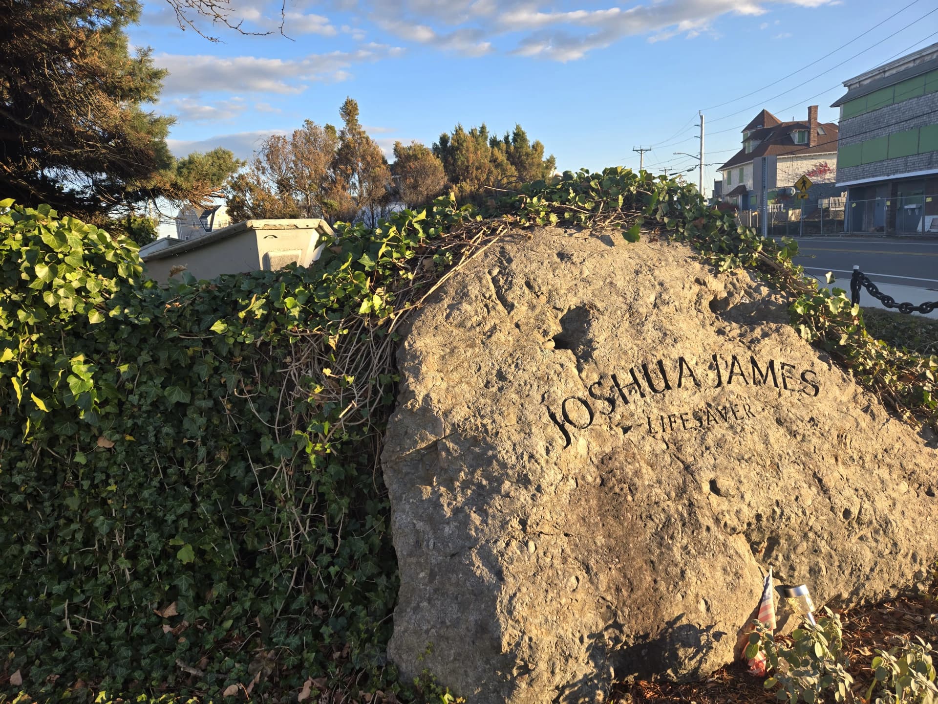 Joshua James Park