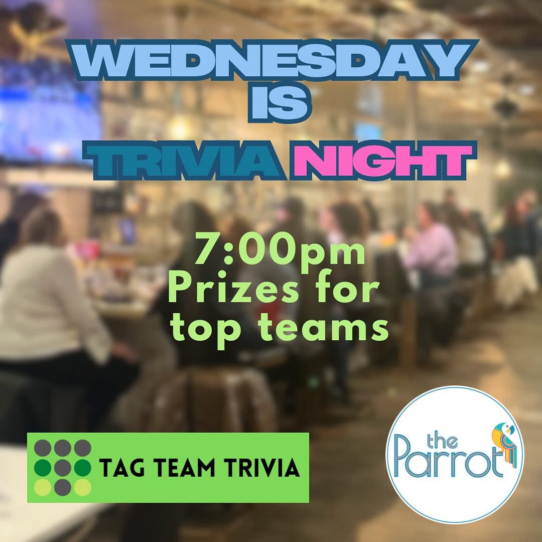 Trivia Night @ the Parrot (every Wednesday)
