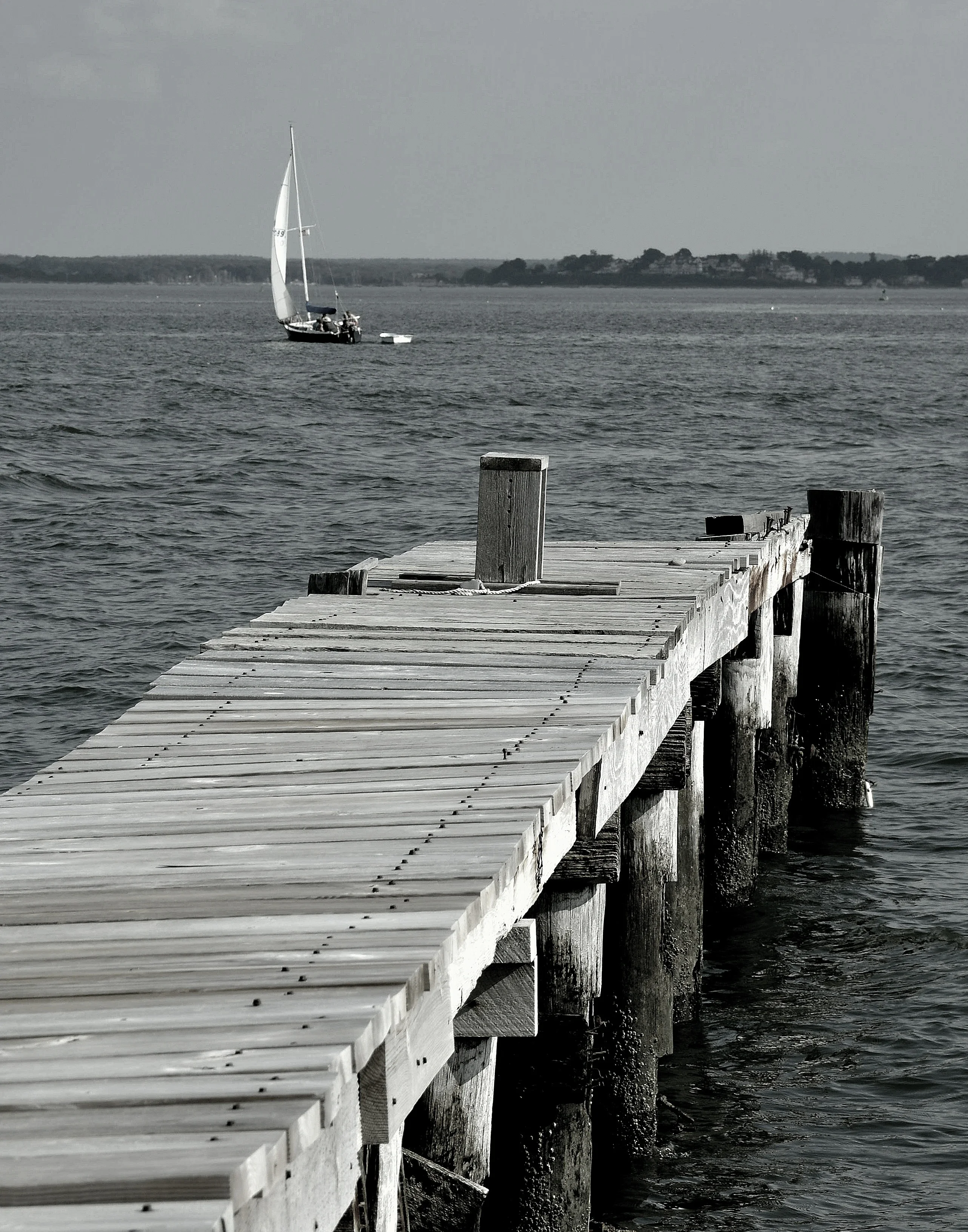 Photography by Bart Blumberg