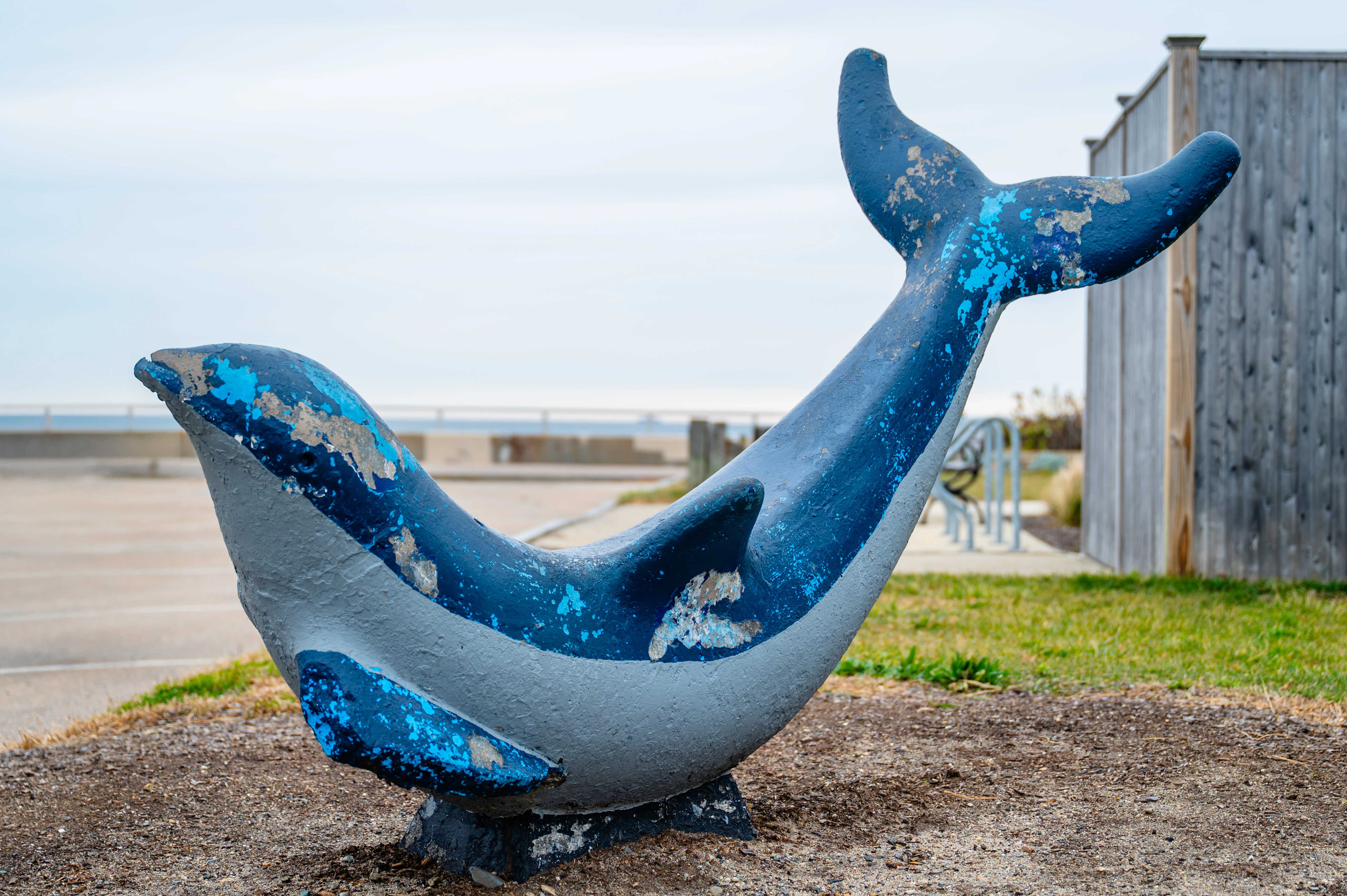 Whale sculpture