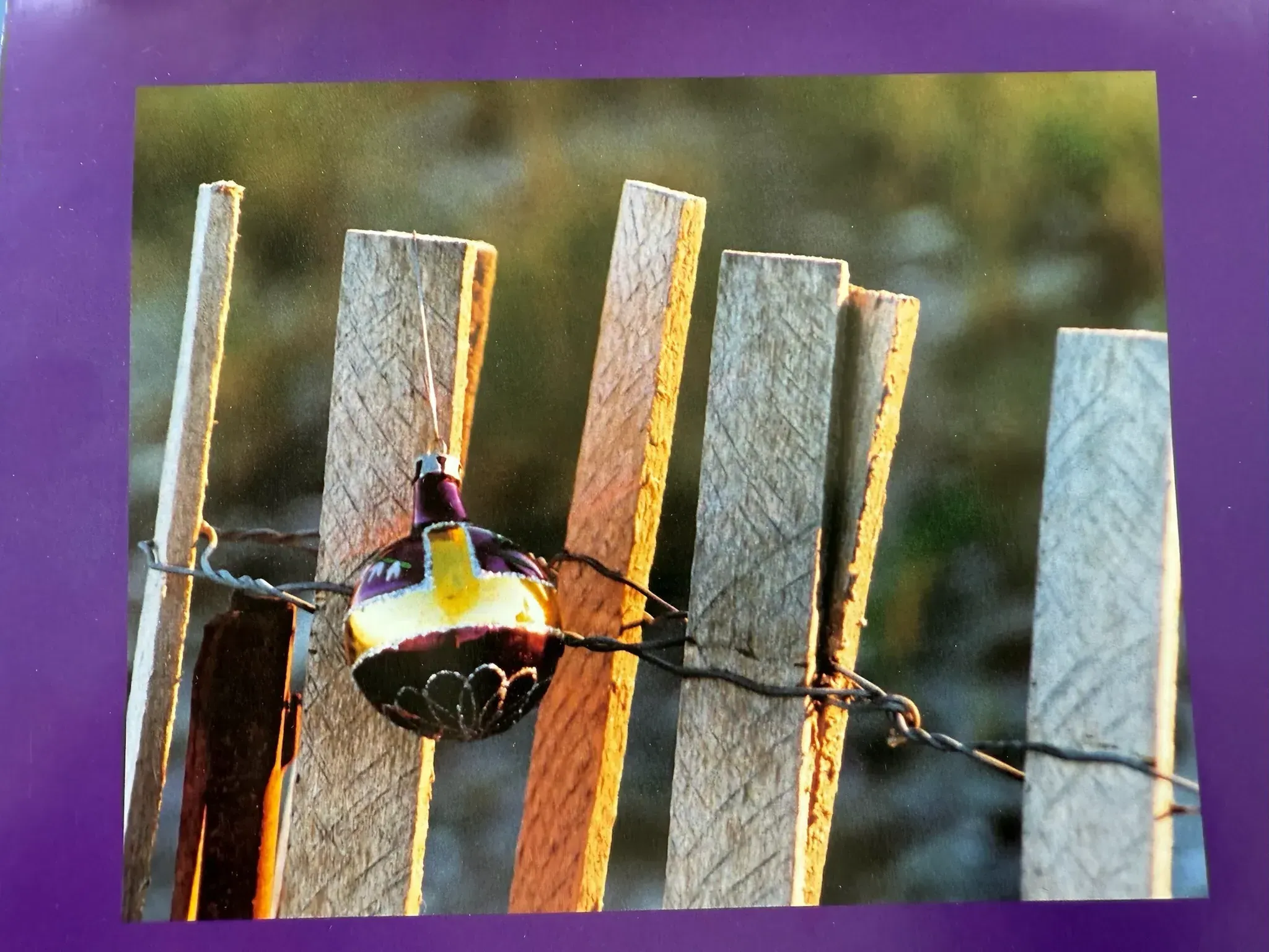 Hull Calendar Contest Entry 13