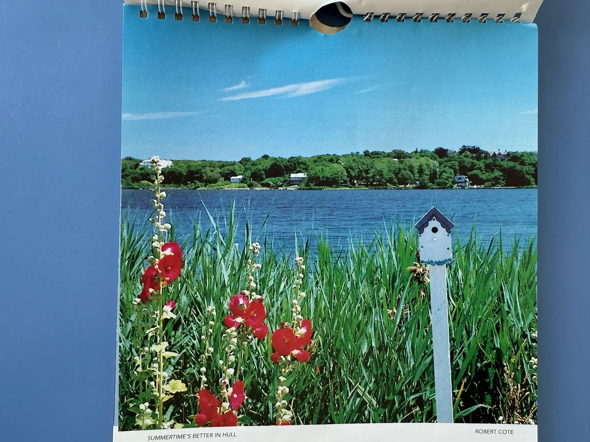 Hull Calendar Contest Entry 6